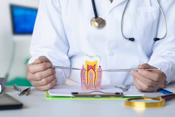 Best Emergency Tooth Extraction in Rogers, TX